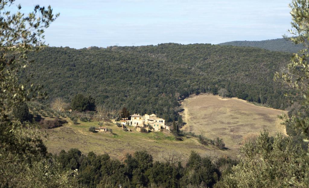 Casa Ollie Lejlighed Castel San Gimignano Eksteriør billede