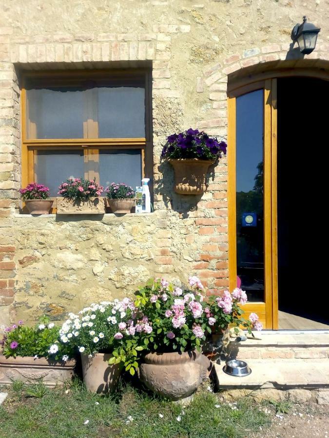 Casa Ollie Lejlighed Castel San Gimignano Eksteriør billede